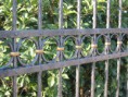 /album/cancelli-in-ferro-battuto/battuto-2-jpg/